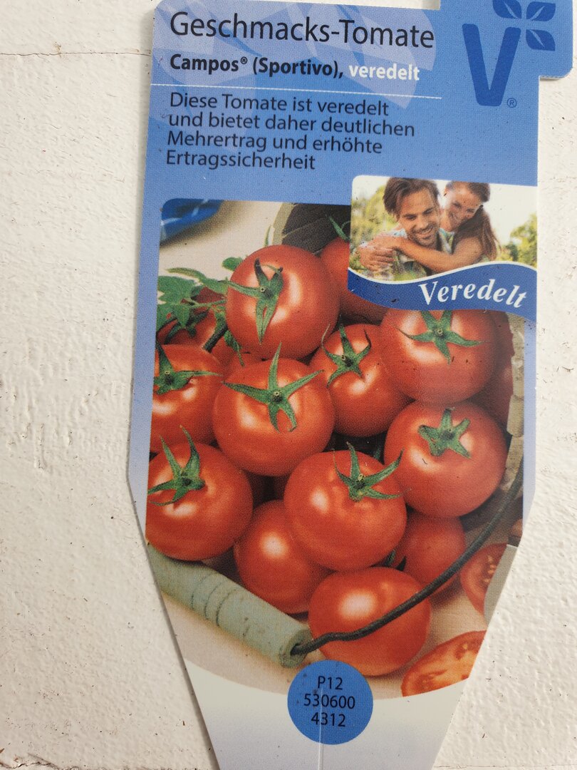 Geschmackstomate Sportiva