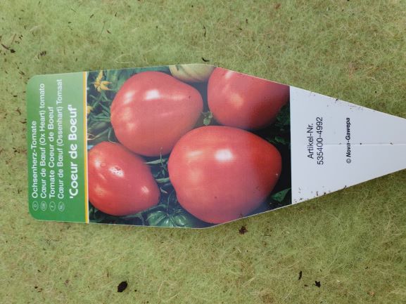 Ochsenherztomate Coeur de boeuf