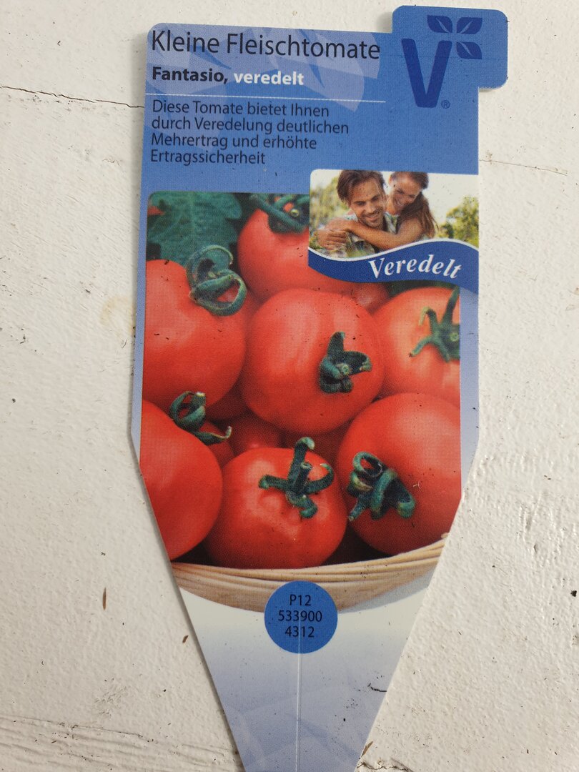 Kleine Fleischtomate Fantasio