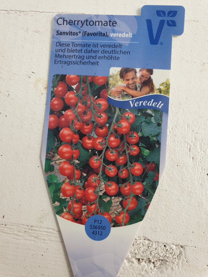 Kirschtomate Favorita