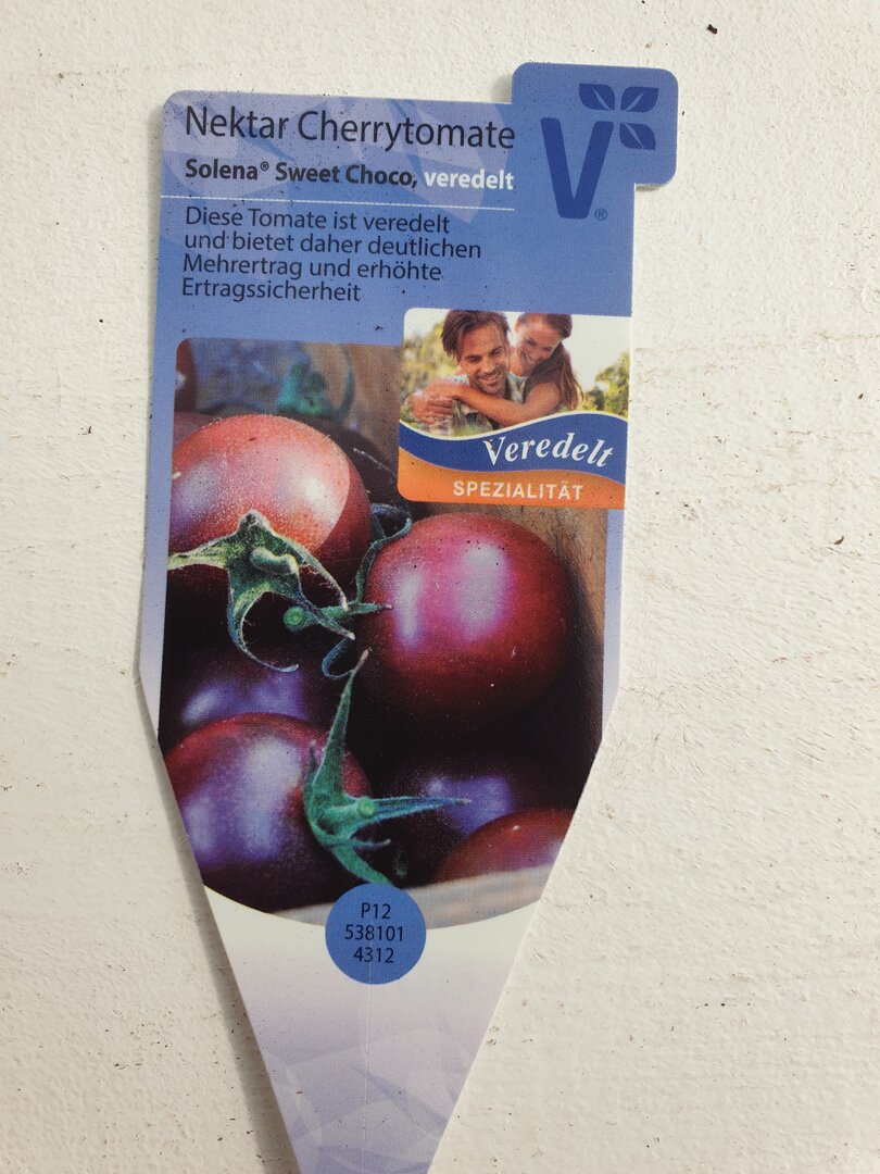 Kirschtomate schwarz Solena Choco