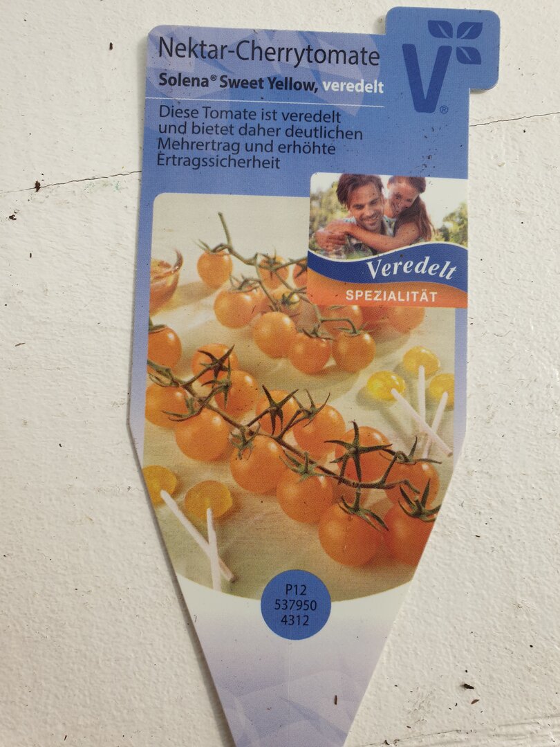 Kirschtomate gelb Solena Sweet